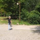 청송자연휴양림 이미지