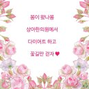 상아한의원 이미지