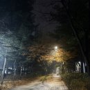 씨유 뉴연수청학점 | 12월 하반기 대한민국 인천 일상.