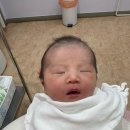 황당한치킨 | 임신일기 12 | 춘천 호산부인과• 39주 4일 유도 분만•출산 후기