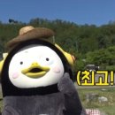 펀키즈 유치원 이미지