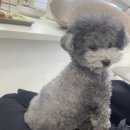 유니라벨헤어 이미지