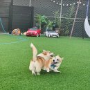 파주힐링몽 이미지