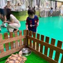 삼척시민체육관 이미지