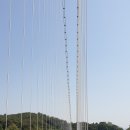 출렁다리 이미지