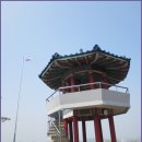 초록숲 이미지