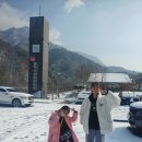 쿠키캐슬속초