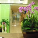 연세라파의원 이미지