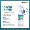 레푸스 범어점 네이버블로그