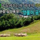 만물목장 이미지