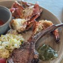 (주)호텔롯데 시그니엘 부산 | [부산뷔페/해운대뷔페] 임산부 할인받아서 다녀온 호텔 런치 뷔페 '시그니엘 부산 더 뷰'