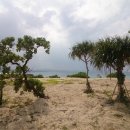 달전약국 이미지