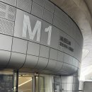 다짐(다GYM) | 서울 동대문 DDP 키크니 전시 특별전 감동 후기