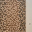 제주현대미술관 | [제주] 제주현대미술관 관람 후기