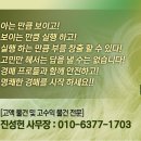 법무법인율해