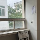 평화와평화