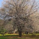 초원목장 이미지