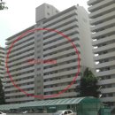 경충대로2050번길 네이버블로그