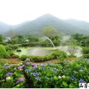 전통한선복원연구소 이미지