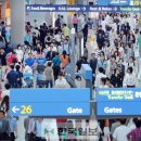 북새통 한국일보