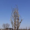 대한민국무공수훈자회충북지부충주시지회 | [2차 자전거 국토 종주] ④ 남한강 자전거길/충주 탄금대 – 양평 군립 미술관