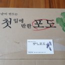 참살이농원 | 포도 샤인머스켓 4kg 5~7수 후기