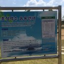 초정약수로1L 네이버블로그