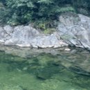 대추나무산장 이미지