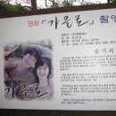 한반도면-8 이미지