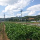 쉼터농장 이미지