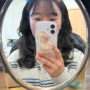 을지소프트 | 단풍시즌(서울단풍구경, 리사르커피, 을지다락, 창경궁, 대구 오이지, 미드웨이, 더기커피, 김광석길...