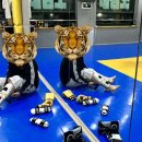 대명태권도 체육관 네이버블로그