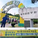 여주 금사참외축제 기본정보 후기 일정표 여주 아이와 가볼만한곳