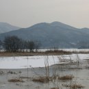 H9025 Daum카페