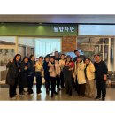 꿈꾸는 자작나무 이미지