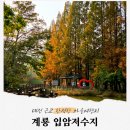 입암저수지주차장 공중화장실 | 가을 대전 근교 드라이브, 충남 계룡 입암저수지 둘레길