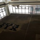 팀식스짐 이미지