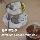 주공6차아파트 | 익산 신상카페 <포피오> 감성 가득 분위기에 레몬 소르베까지 완벽했던 곳