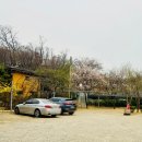 보릿골강동점 이미지