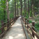 산애 캠핑장 이미지