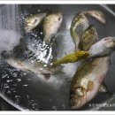 찜이야기 이미지