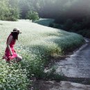 꽃이필무렵 이미지