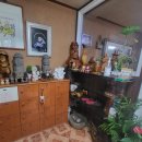 동천느티나무집 이미지