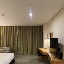 소노캄 고양 이미지