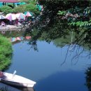 천성낚시터 이미지