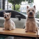 달빛동물병원 이미지