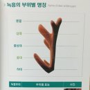 충북사슴영농조합법인