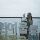 수오토 이미지