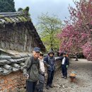 [노은산악회] 전남 순천 선암사~송광사(천년불심길) ~2026.4.18~ 이미지