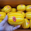 성주꿀참외